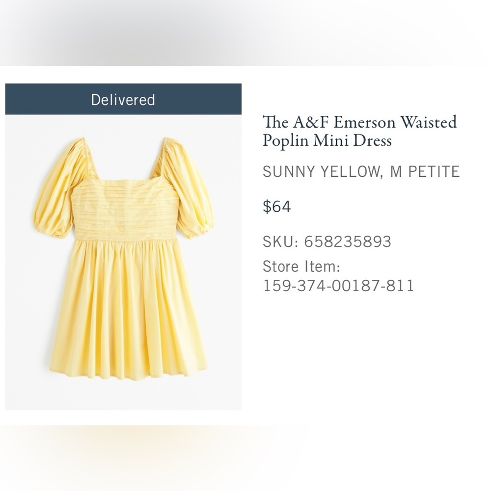 NWT Abercrombie Emerson Waisted Poplin Mini Dress
